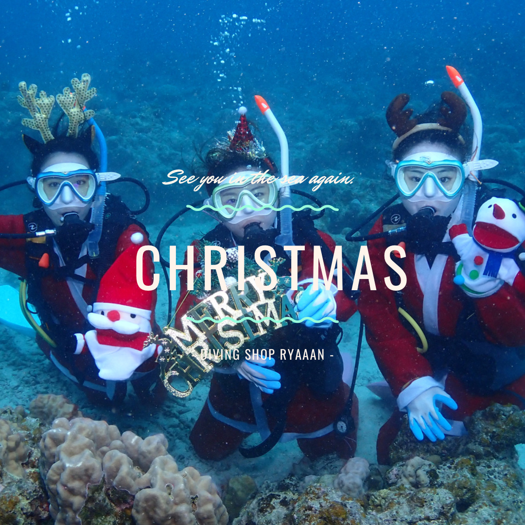 クリスマスダイビング】サンタコスプレと共に｜ダイビングBLOG｜DIVING